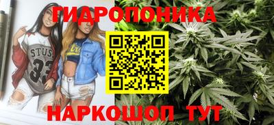 индика Малгобек