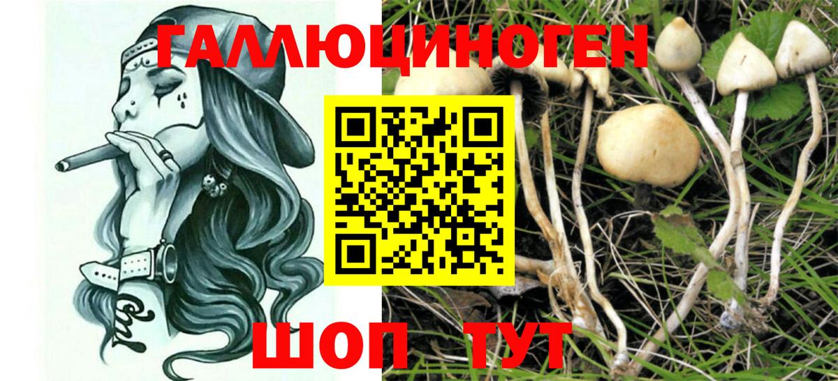 дарнет шоп  Галлюциногенные грибы Cubensis  Вход с VPN  Советск 
