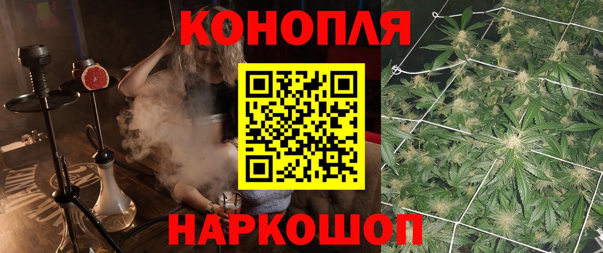 Бошки марихуана семена  Вход с VPN  Марихуана конопля  Конопля White Widow  Советск 
